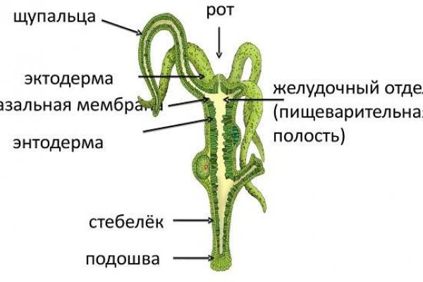 Не могу зайти в аккаунт кракен