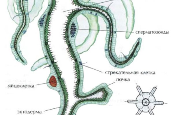 Кракен сайт войти