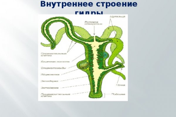 Найти ссылку кракен